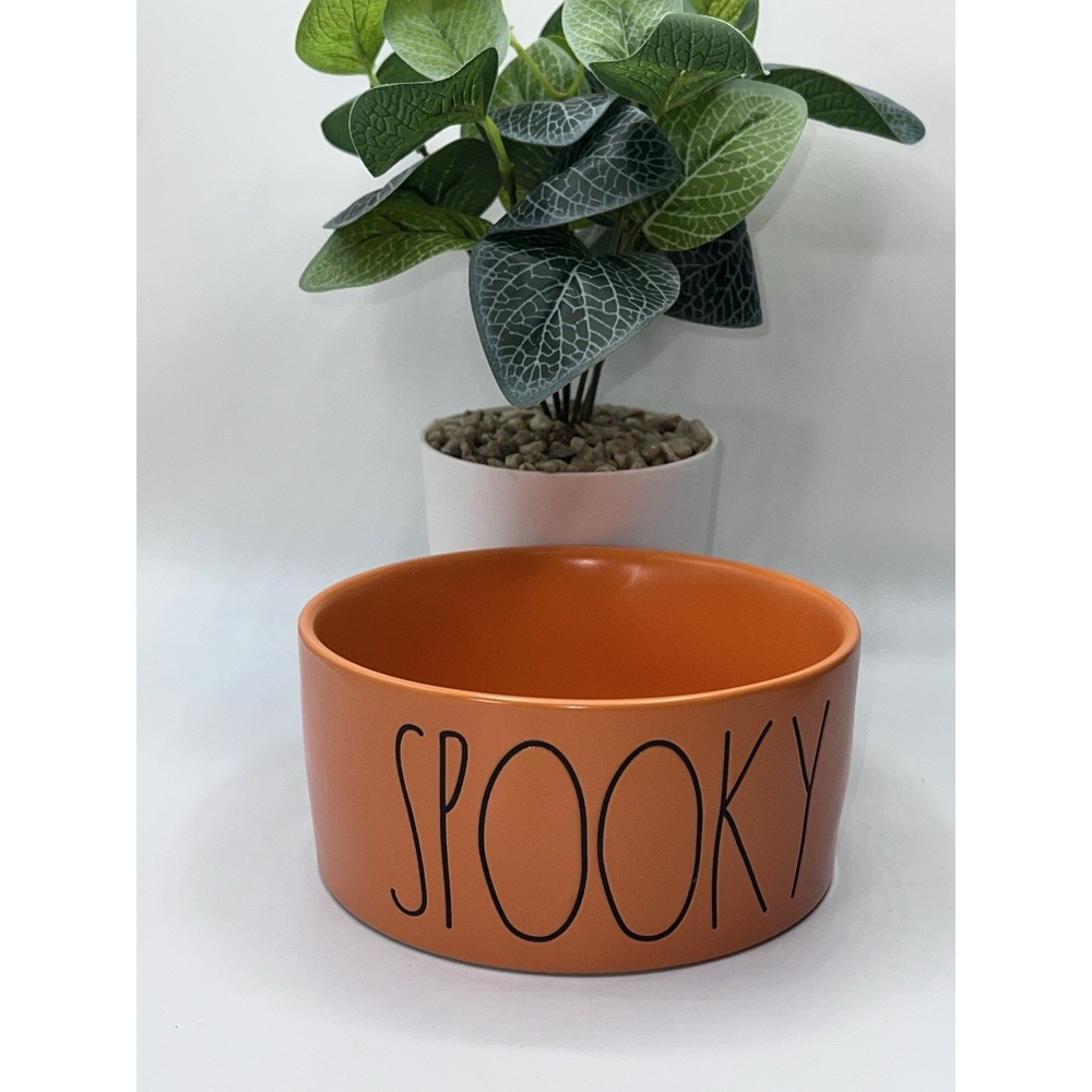 NICE!! Rae Dunn Pet Bowl Dish Bowl‎ Orange Halloween Fall SPOOKY Cat Dog